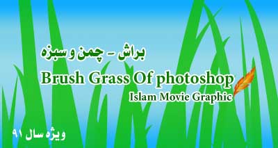 دانلود ابزار نرم افزار فوتوشاپ- براش قلمو - دانلود براش چمن Grass