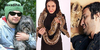 از گربه‌ی هانیه توسلی تا سگ اکبر عبدی!